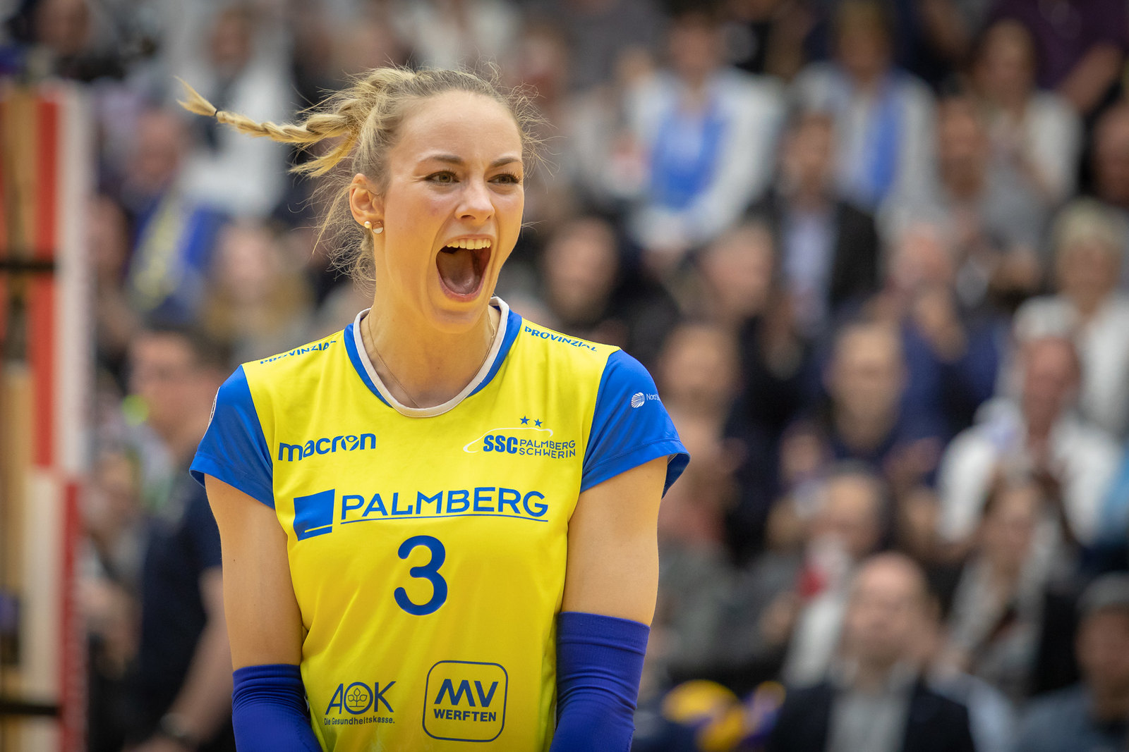 Schwerin: Volleyball-Team mit Top-Verpflichtung
