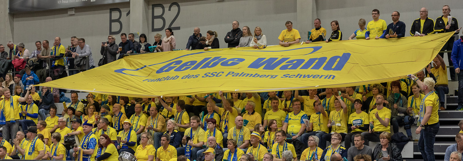 Schwerin: Volleyballfans schauen langsam nach vorn