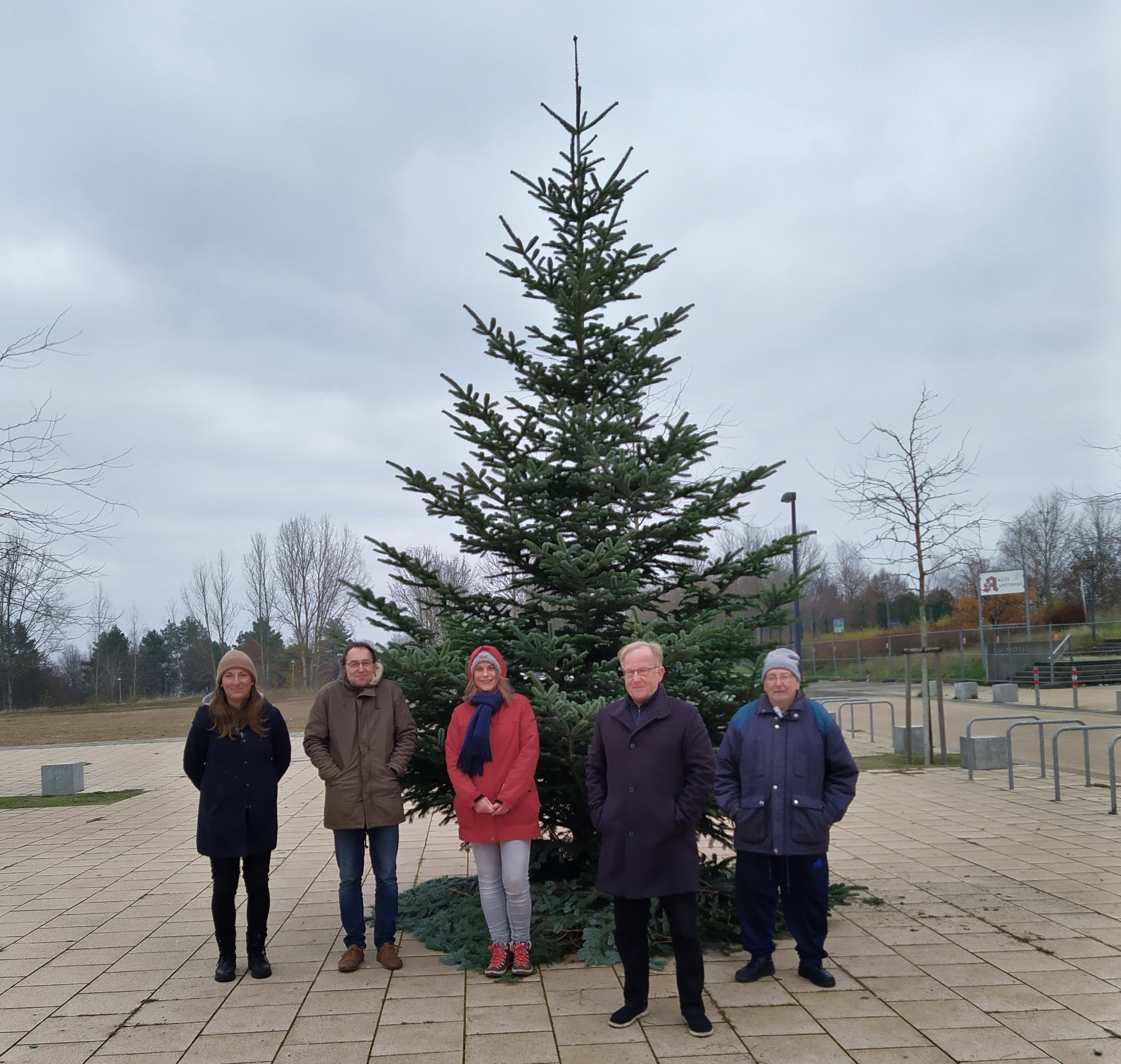 Schwerin: Der Baum auf dem Berliner Platz steht