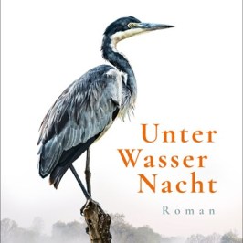 Literaturtipp: Kristina Hauff – Unter Wasser Nacht