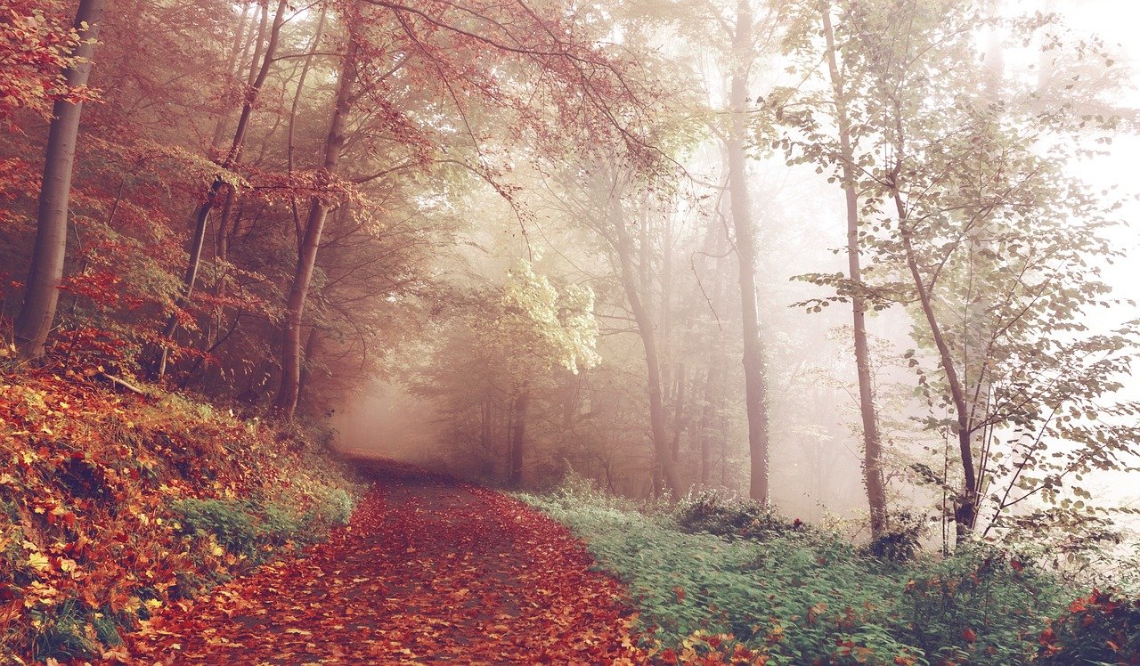 Dunkle Herbstzeit – positive Gedanken und Lichttherapie