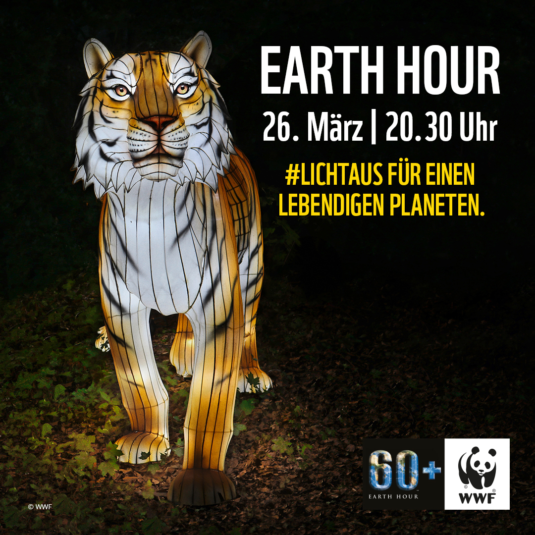 „Earth Hour 2022“ – Schwerin ist wieder dabei