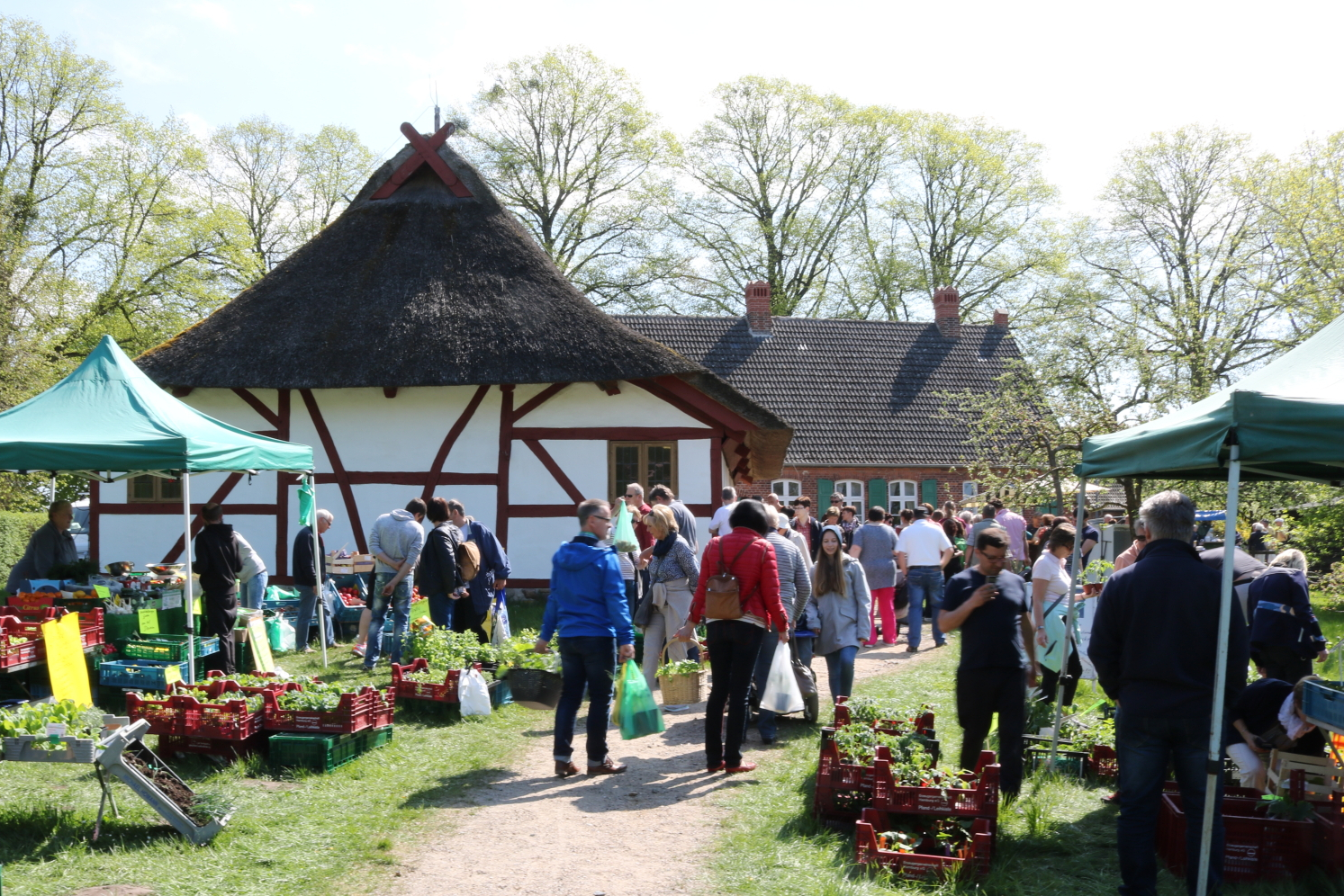 Frühlingsmarkt in Mueß – Pflanzen, Kunsthandwerk und viele Mitmachangebote im Freilichtmuseum Mueß04
