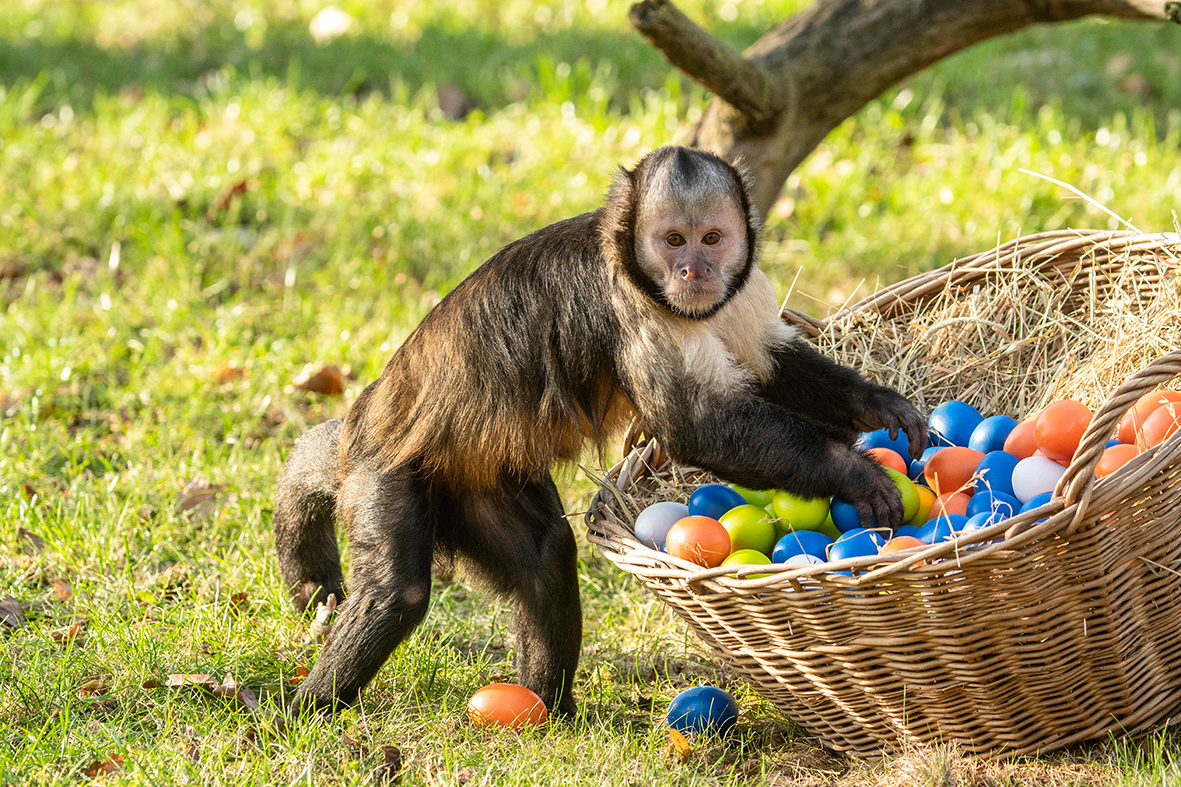 Ostern in den Zoo – Eine tierisch gute Idee