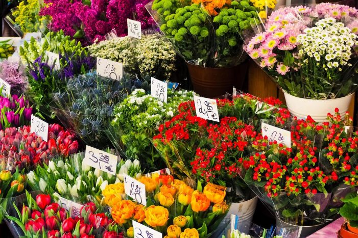 Schwerin: IG BAU warnt vor Personalnot in Blumengeschäften und Gartencentern