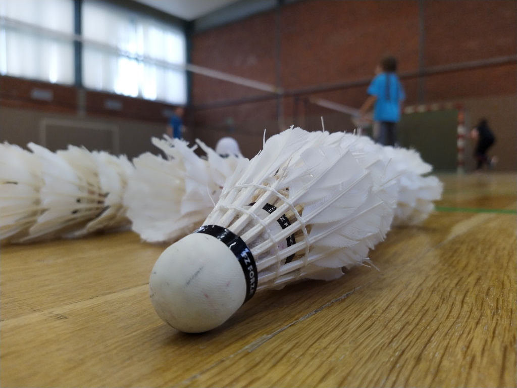 Grundschulkinder aufgehorcht: Der Badminton Sport Club 95 Schwerin sucht euch
