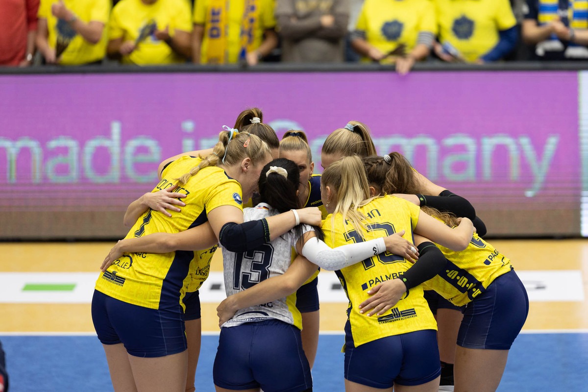 Volleyball-Bundesliga: Schwerin trifft auf Suhler Wölfinnen 